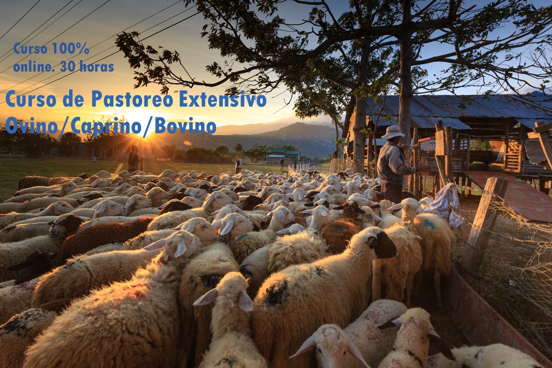 Curso de pastoreo Ovino/ Bovino